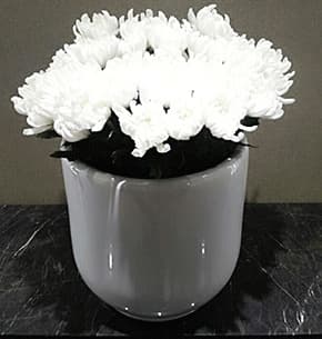 funeral-hall-image-1