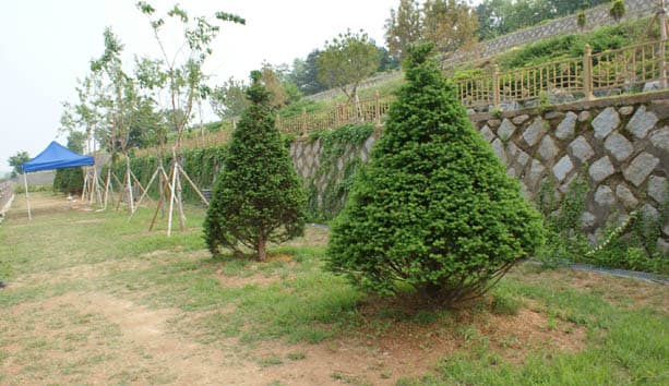 funeral-hall-image-2