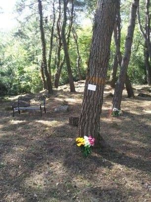 함양하늘공원(자연장지) 사진