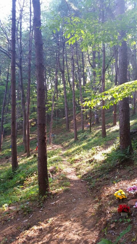 광릉추모공원 자연장 사진