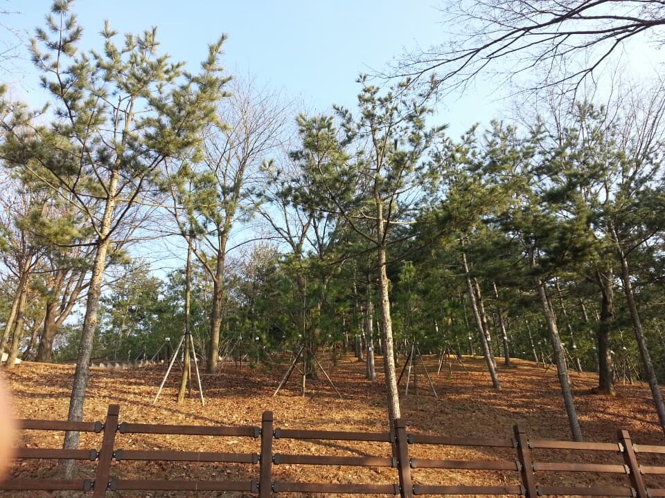 와동꽃빛공원 자연장지 사진