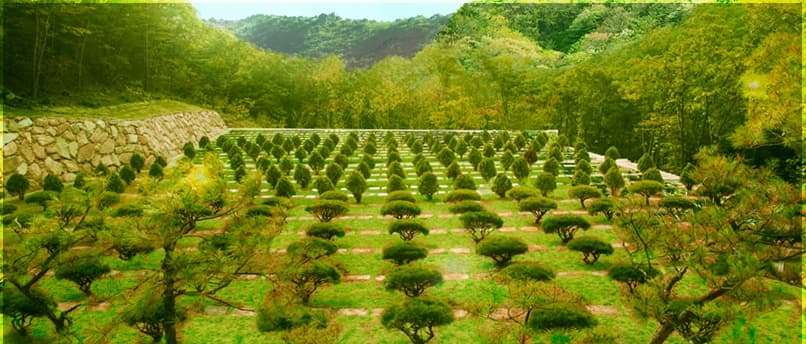 신불산추모공원 수목장지 사진