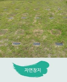 광양시립영세공원 자연장지 사진