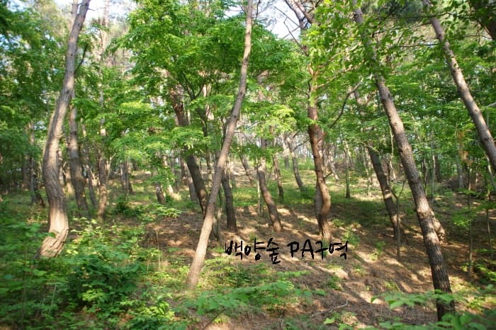 백양사 수목장 사진