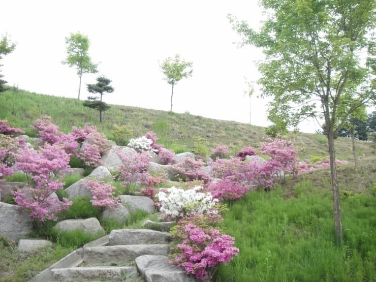 화천공원묘원 자연장지 사진