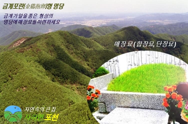 (재)자하연포천(묘지) 시설 사진