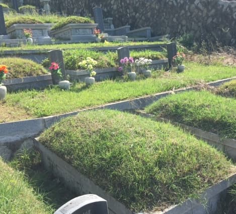 백운공원묘원 제1묘원 사진