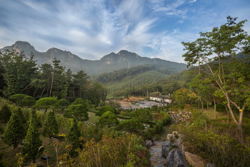 하늘소풍수목장(호산나교회) 사진