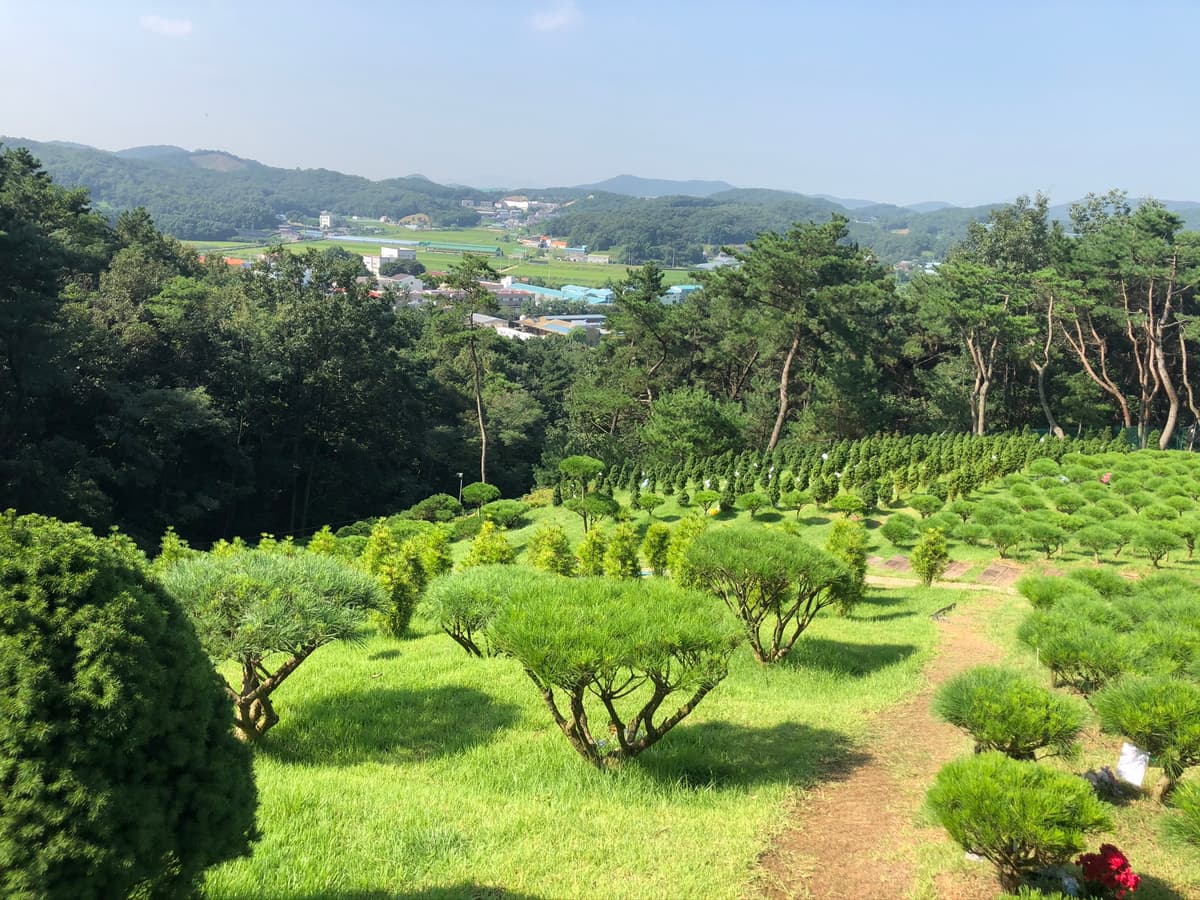 청솔수목장 사진