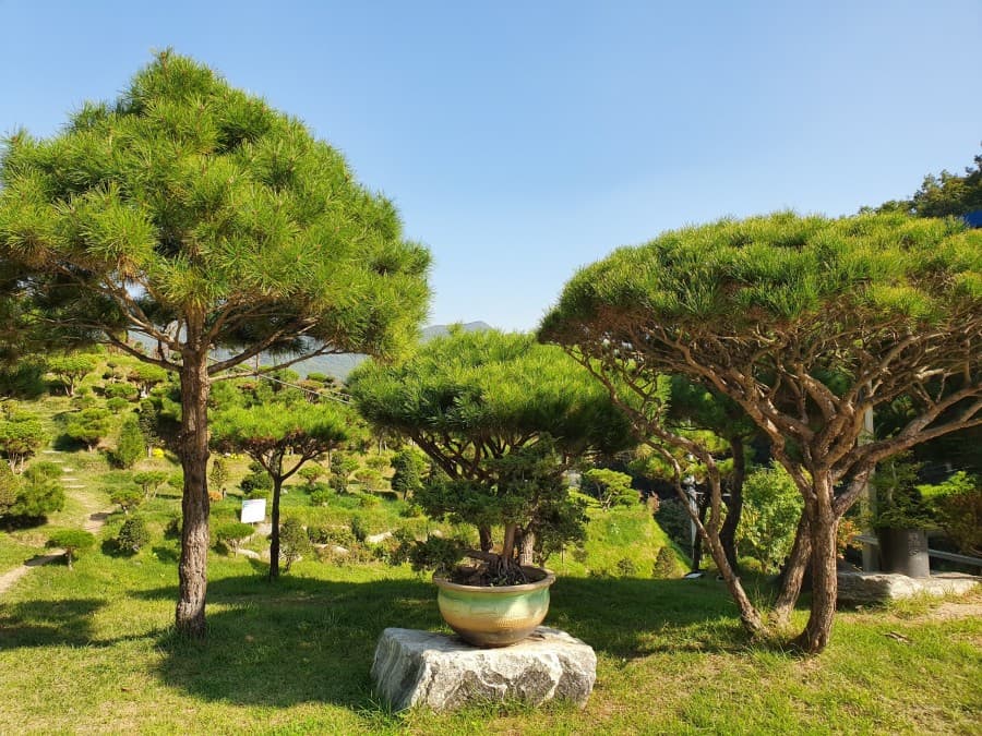 정안수목장 시설 사진