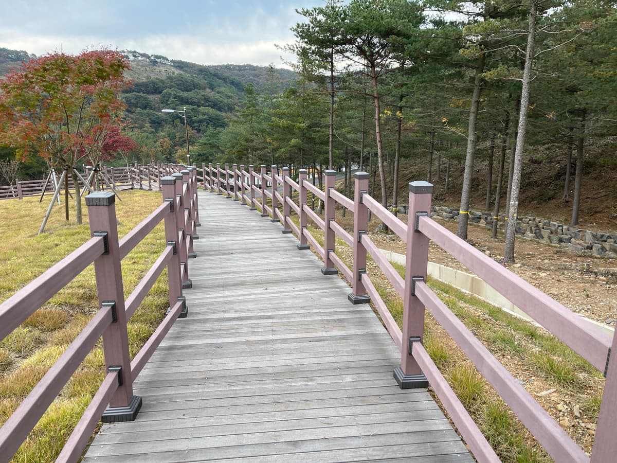 국립기억의숲 사진