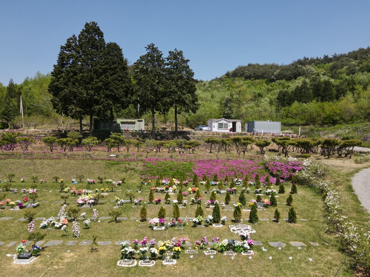 늘푸른수목장 사진