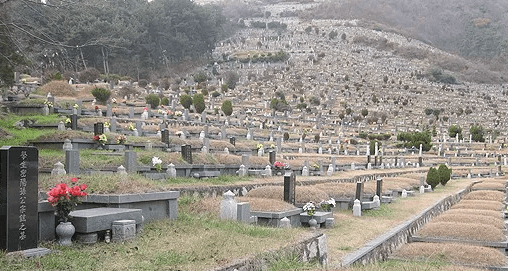 고능리공설묘지 사진