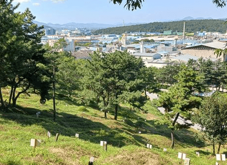 장기공설공원묘원 사진