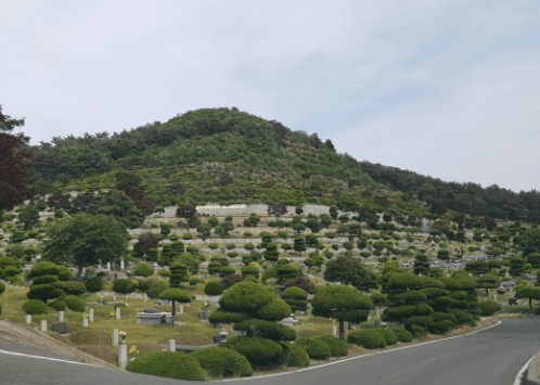군산시공설묘지 사진