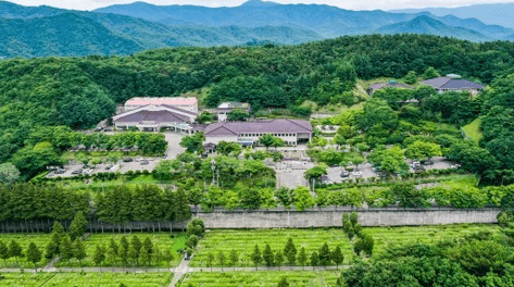 대청리공설묘지 사진