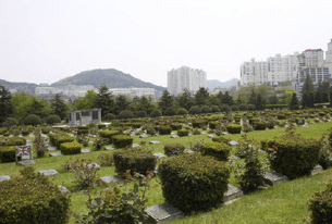도장리공설묘지 사진