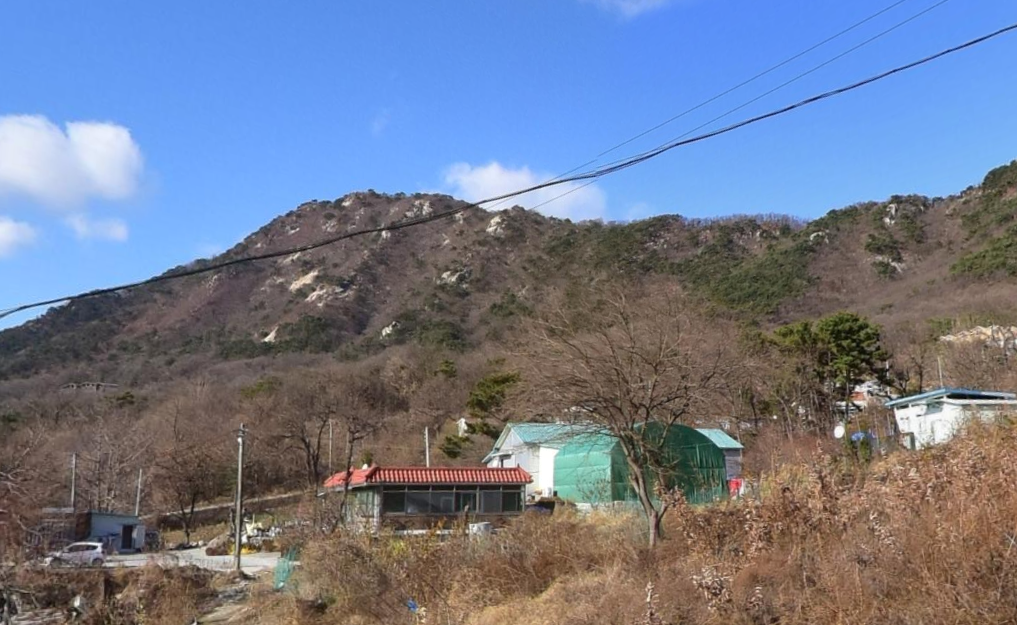 매음리공설묘지 사진
