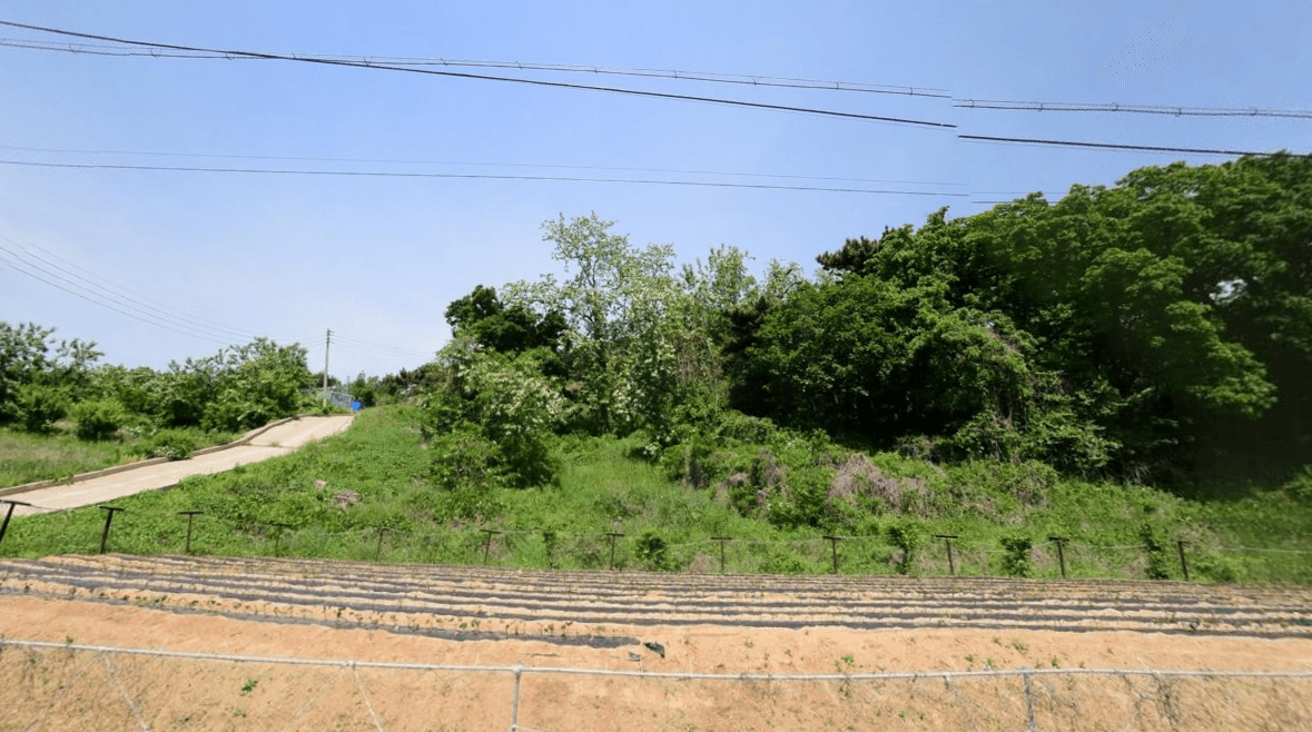 모도리공설묘지 사진