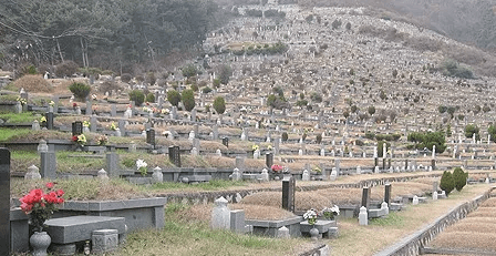 볼음공설묘지 사진
