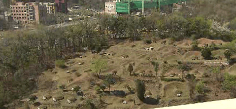 삼거리공설묘지 사진
