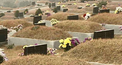 삼흥리공설묘지 사진