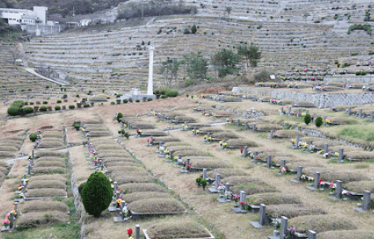 상리공설묘지 사진