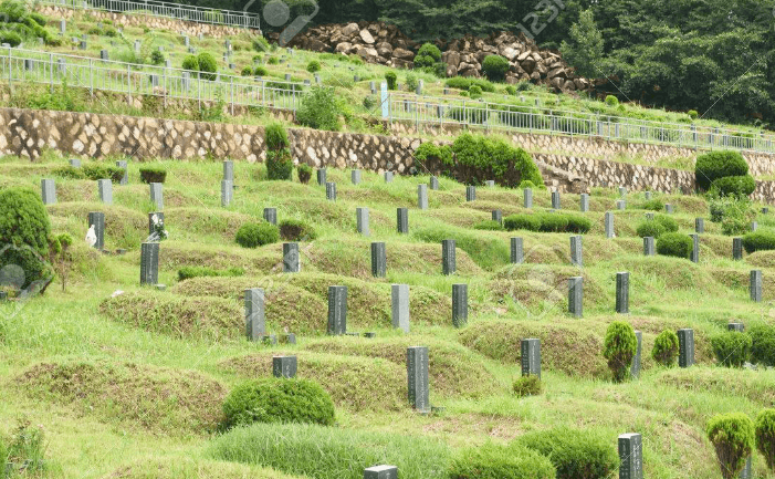 상면공설묘지 사진