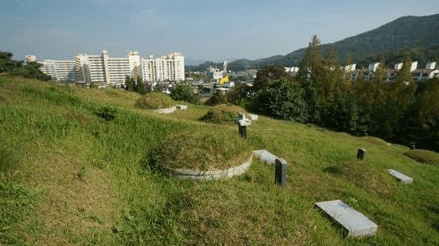 상용리공설묘지 사진