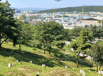 성산읍공설묘지 사진
