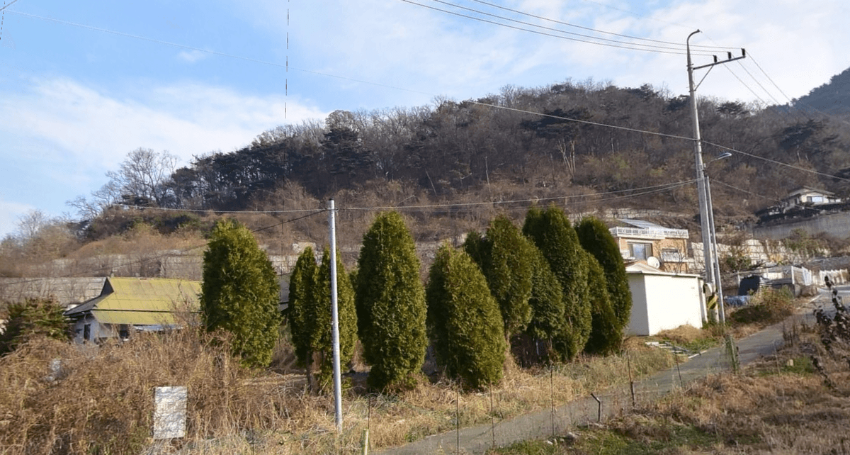 신도리공설묘지 사진