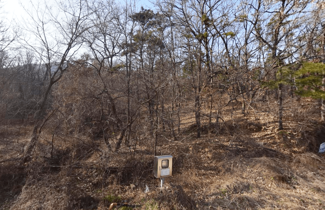 양오리공설묘지 사진