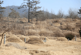인산리공설묘지 사진