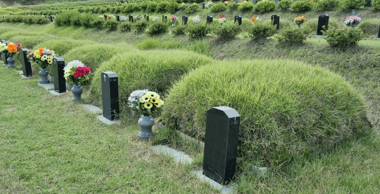 장정리공설묘지 사진
