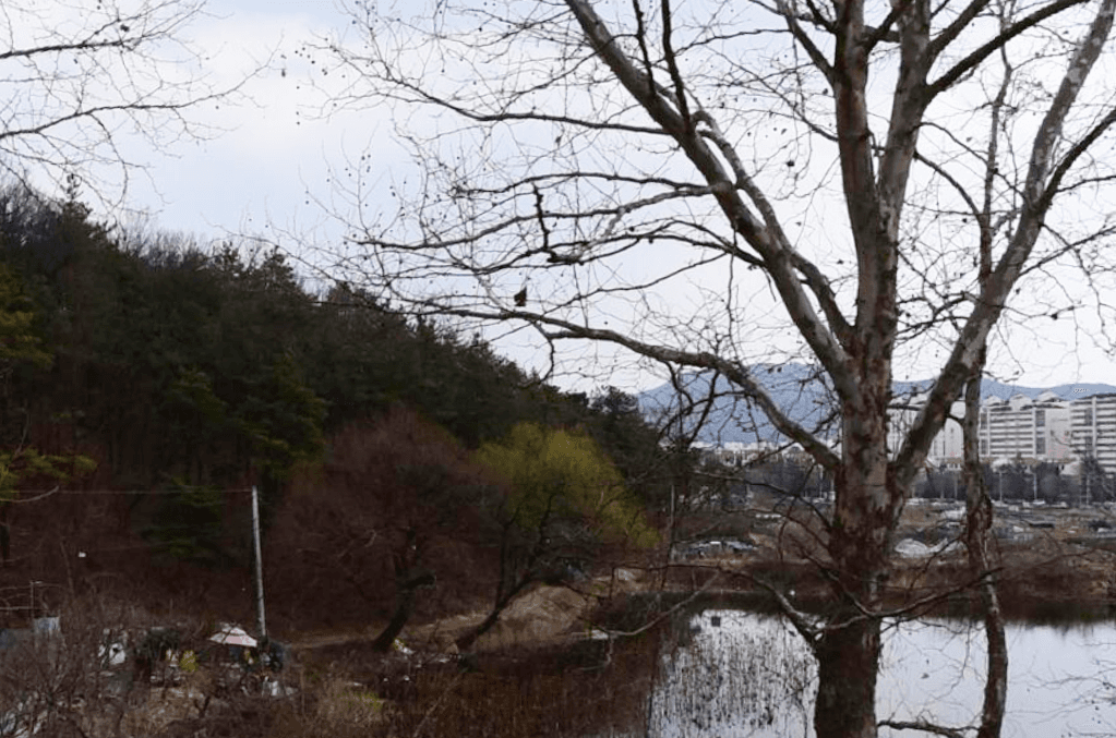 대구중부교회묘지 사진