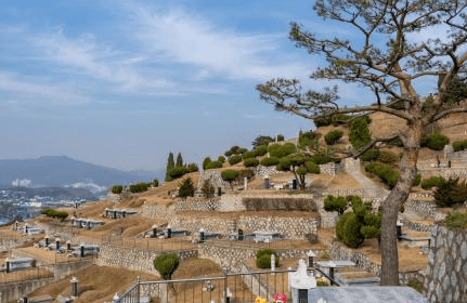 초지리공설묘지 사진