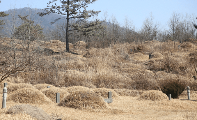 신암리공설묘지 사진