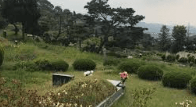 구암리공설묘지 사진