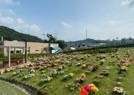 광석리공설묘지 사진