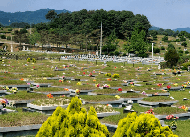석우리공설묘지 사진