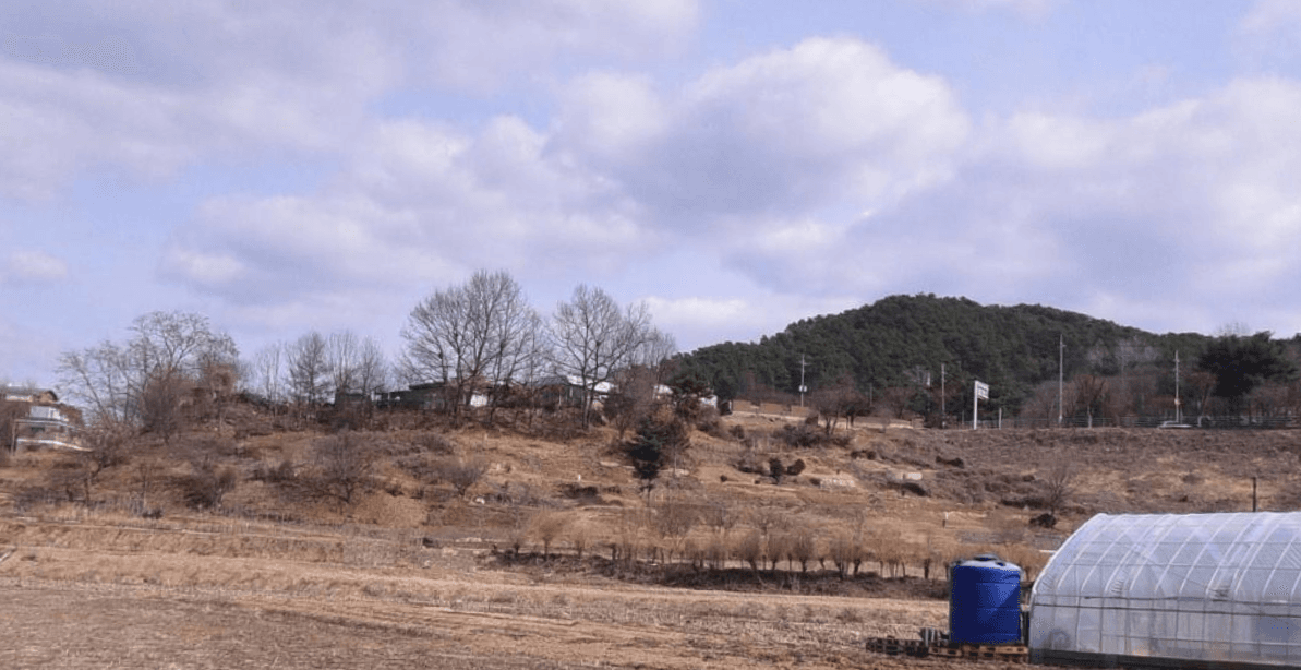 군내면 제1공설묘지 사진