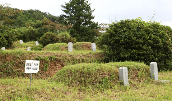 연평리공설묘지 사진