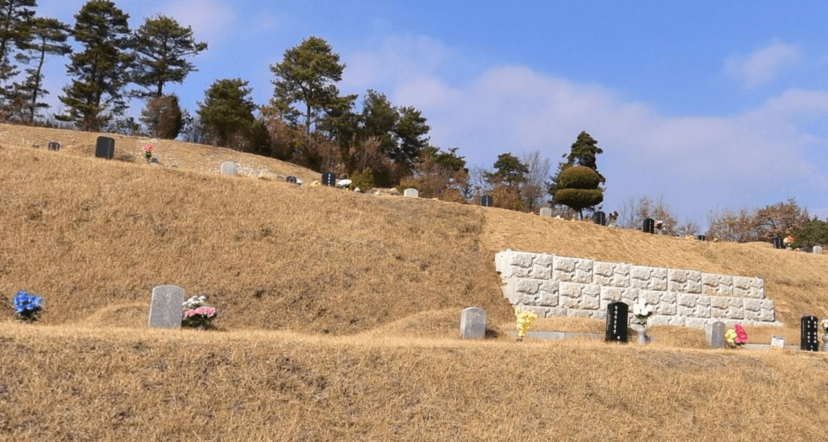 매화원 사진