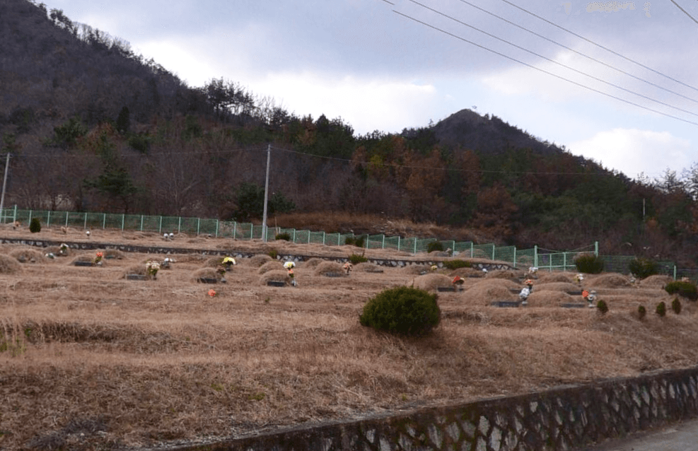 장기공설봉안묘 시설 사진
