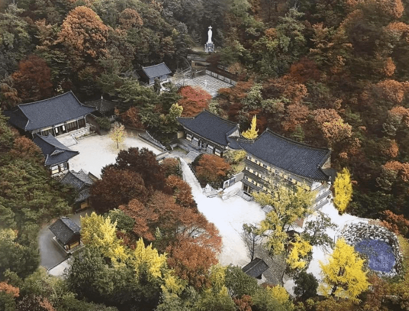 약사사지장전추모관 사진