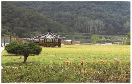 의성군 천제공원(수목·잔디) 시설 사진