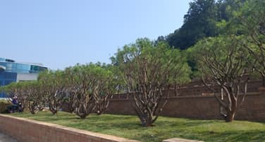 funeral-hall-image-2
