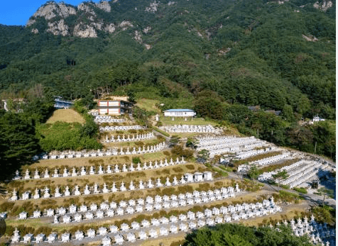 선불교자연장지 사진