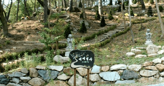 여여정사 수목장 사진