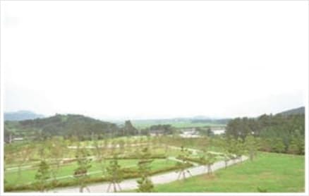 고창푸른숲자연장 사진